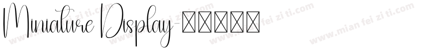 Miniature Display字体转换